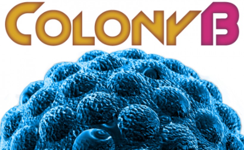 Colony B