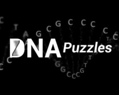 DNA Puzzles